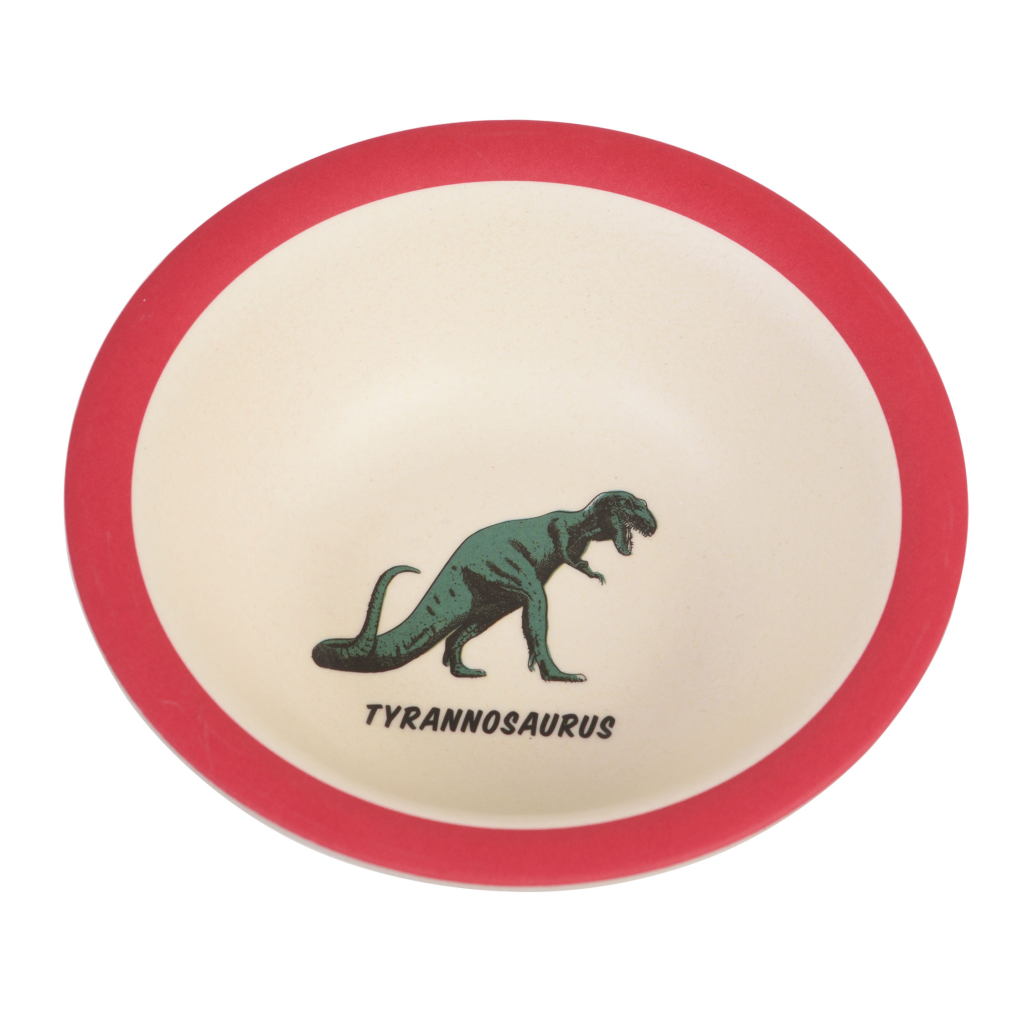 Dinosaur Bamboo Bowl - Culture Trend